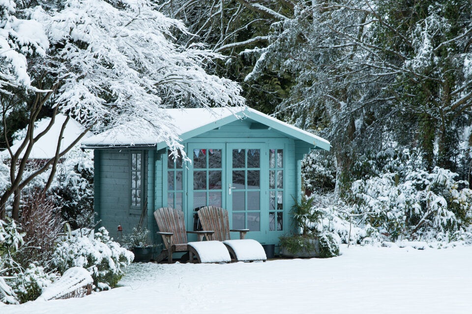 Achtung: Diese Gartenarbeiten sollten Sie im Winter unbedingt vermeiden