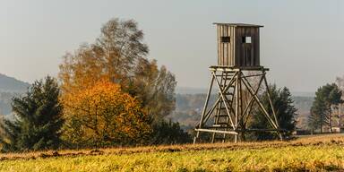 Todesdrama: Promi-Winzer (75) von Hochstand erschlagen