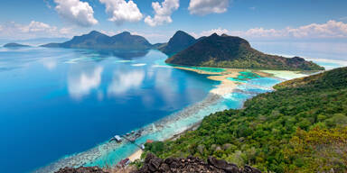 Alarmierend! DIESE Tiere sterben aus, noch bevor sie entdeckt wurden