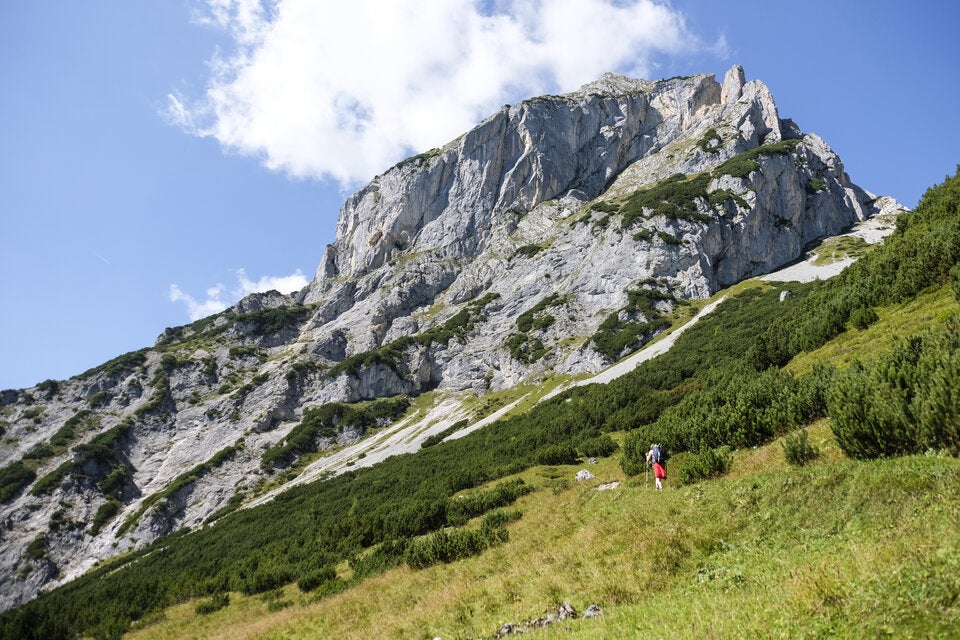 Die schönsten Ausflugsziele für den Frühling  in Österreich