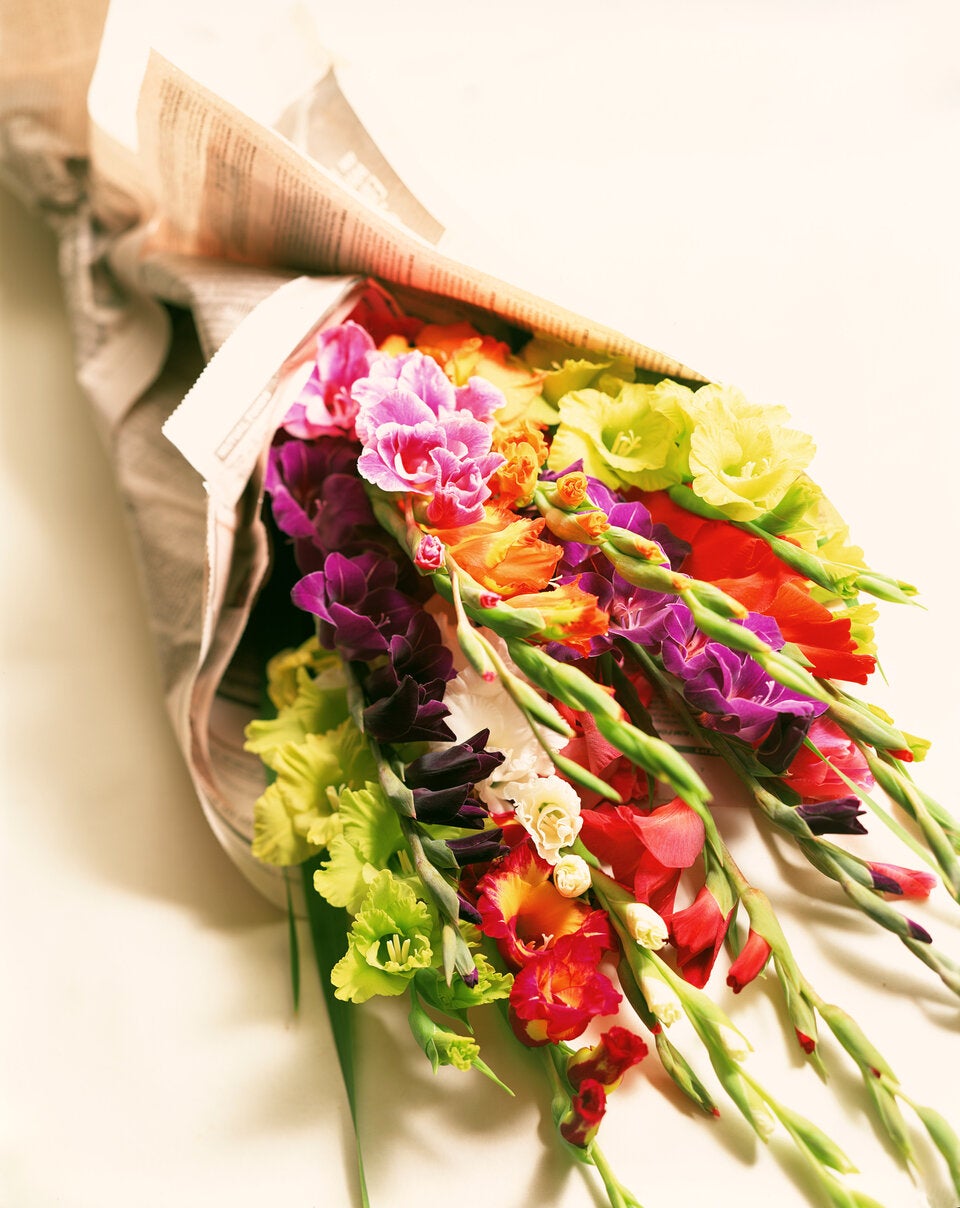 Geheime Liebesbotschaften: Die Bedeutung hinter Valentinstagsblumen