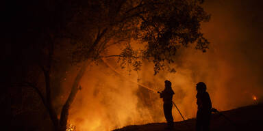 Waldbr&auml;nde Spanien