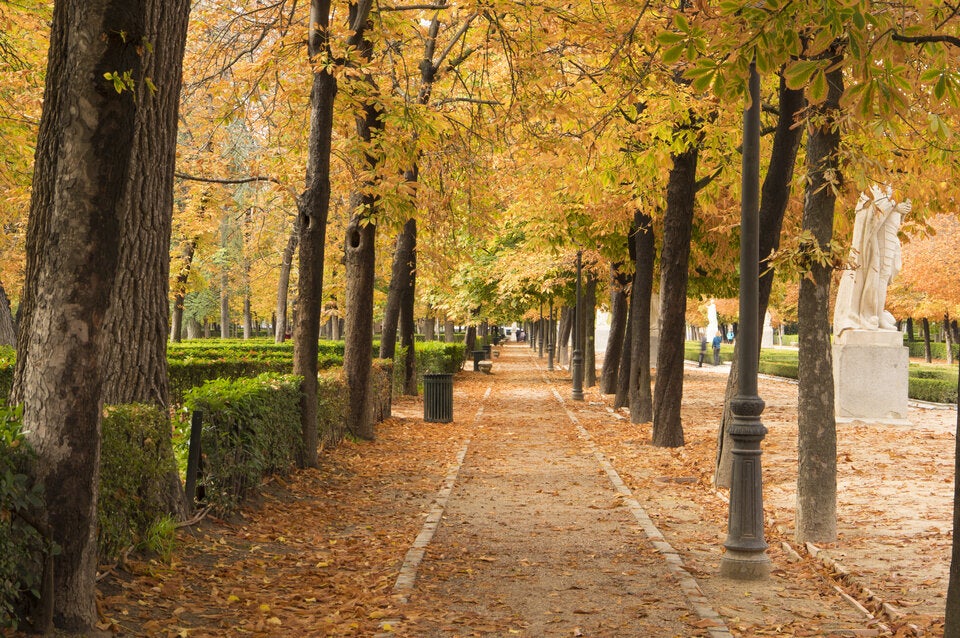 Reiseexperten sind sich einig: Diese europäische Stadt ist das beste Reiseziel im Herbst