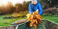 Wissen viele nicht: Darum sollten Sie Herbstlaub nicht in die Biotonne werfen