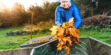 Wissen viele nicht: Darum sollten Sie Herbstlaub nicht in die Biotonne werfen
