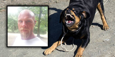 Paolo (†39) beim Joggen von drei Rottweilern zerfleischt