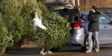 Christbaum Transport