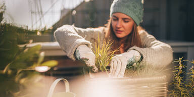 Vergessen die meisten: Diese Gartenarbeiten dürfen Sie im November nicht verpassen