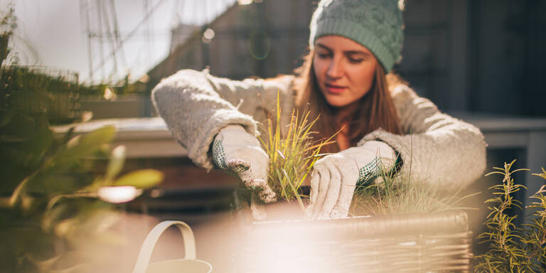 Vergessen die meisten: Diese Gartenarbeiten dürfen Sie im November nicht verpassen