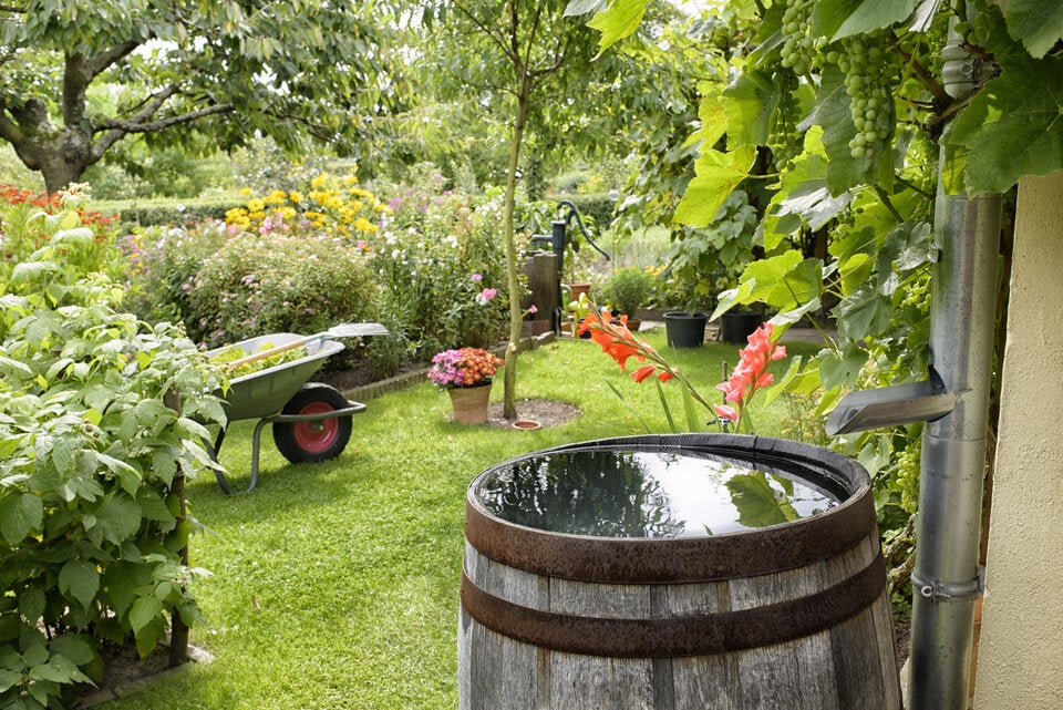 Garten unter Wasser: So retten Sie ihn bei schlechtem Wetter