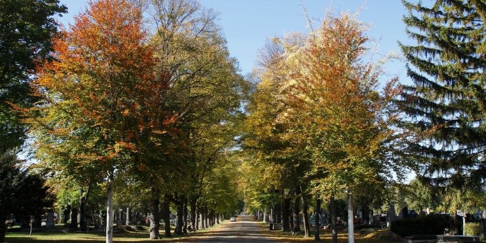 Wiener Zentralfriedhof