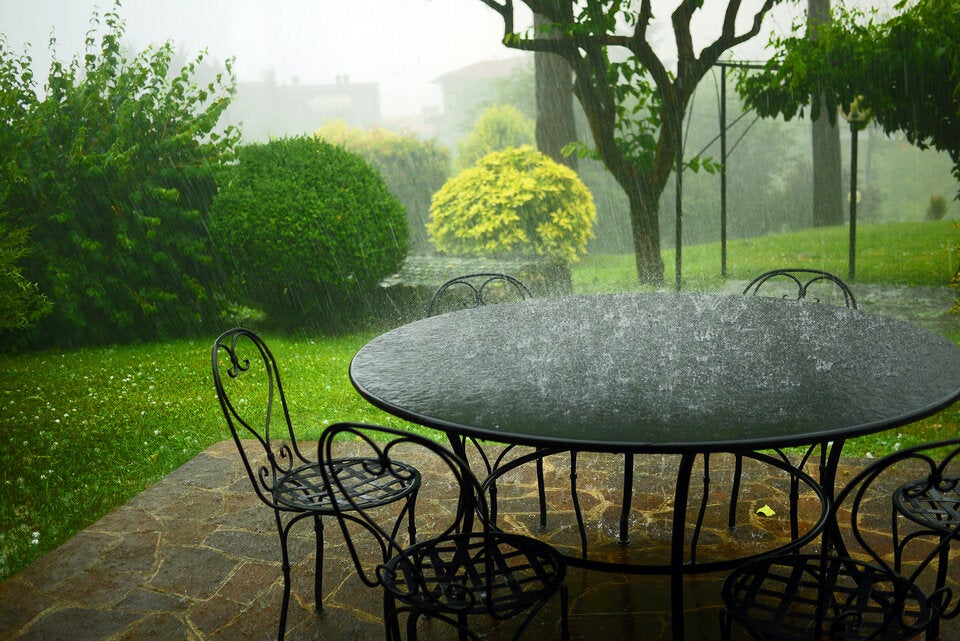Laut Bauernregel: Was Regen im März für den Garten bedeutet
