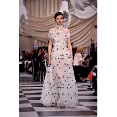 Dior - Haute Couture / Spring/Summer 2018