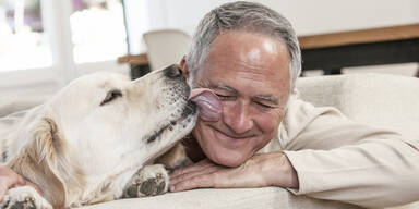 Hund leckt Herrchen &uuml;bers Gesicht &ndash; Mann tot