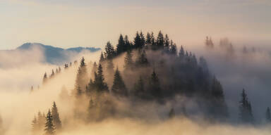 12 Grad! Es wird endlich wieder w&auml;rmer