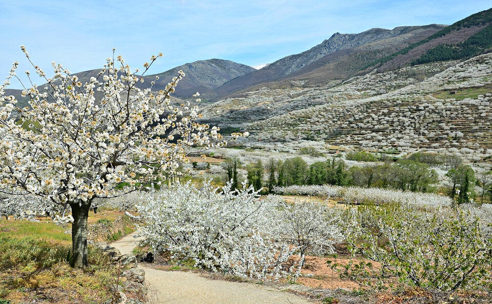 Geheimtipps: Diese Wanderwege in Europa wecken Frühlingsgefühle