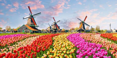 Europas sch&ouml;nste G&auml;rten