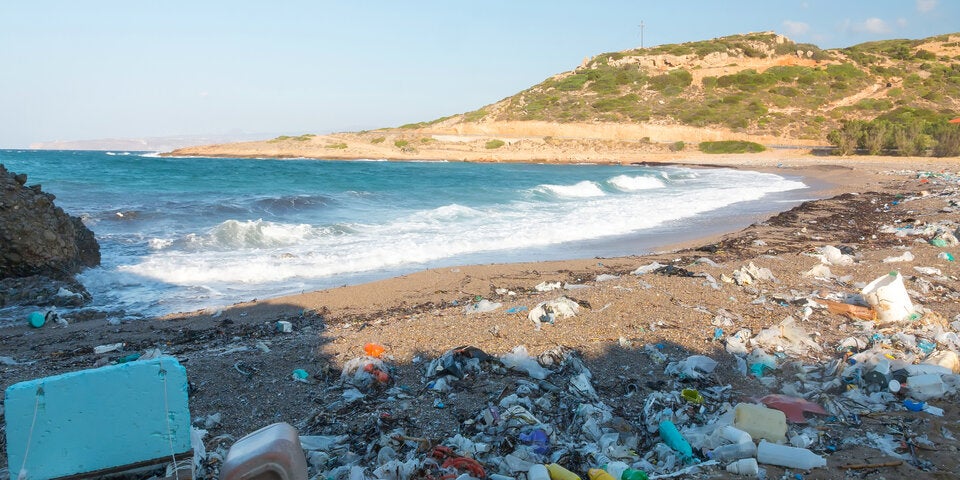 Die Wasserqualität hat an vielen Orten stark abgenommen.