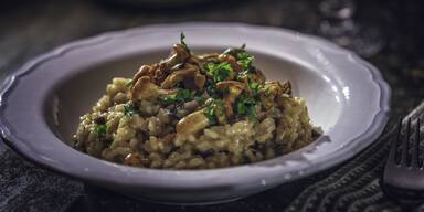 Warum man Schwammerl nicht noch einmal aufwärmen soll – Mythos oder Wahrheit?