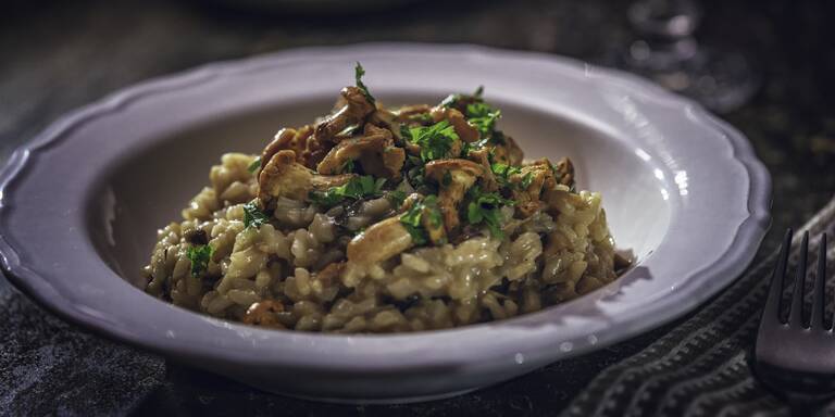 Warum man Schwammerl nicht noch einmal aufwärmen soll – Mythos oder Wahrheit?