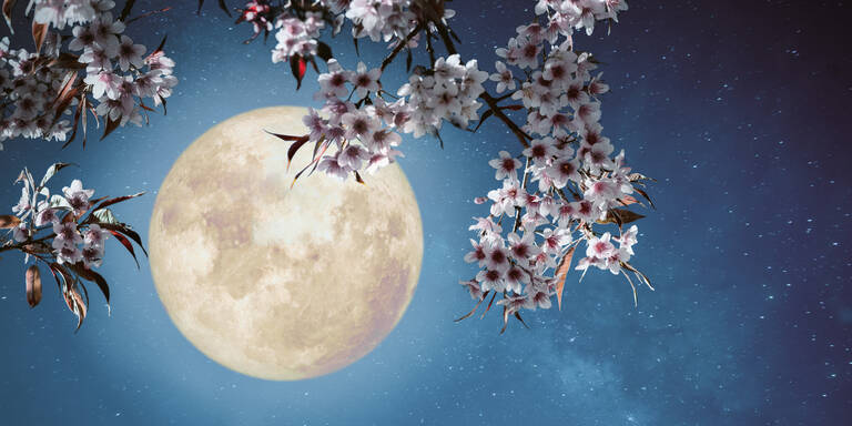 Das sollten Sie in der Woche vom 30. März bis 5. April laut Mondkalender tun