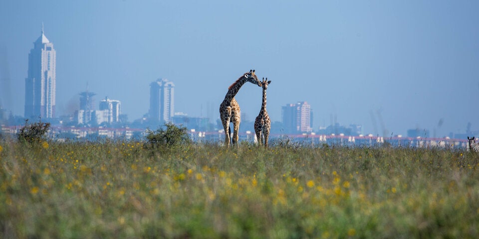 Nairobi: Die Hauptstadt Kenias hat die koloniale Vergangenheit abgeschüttelt.
