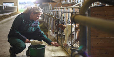 Haimbuchner warnt: Selbstversorgung Österreichs in Gefahr