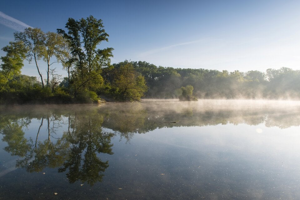 Abkühlung in Wien: Die besten Orte für heiße Tage