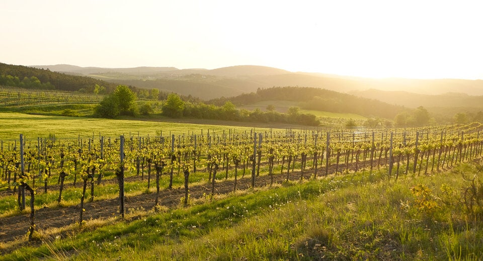 Diese 10 Orte in Österreich sollten 2026 auf Ihrer Bucket-List stehen