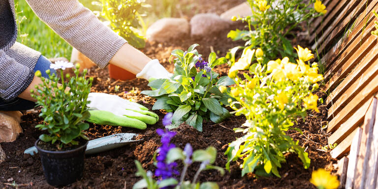 Wetter-Chaos: So überleben Ihre Pflanzen den launischen April