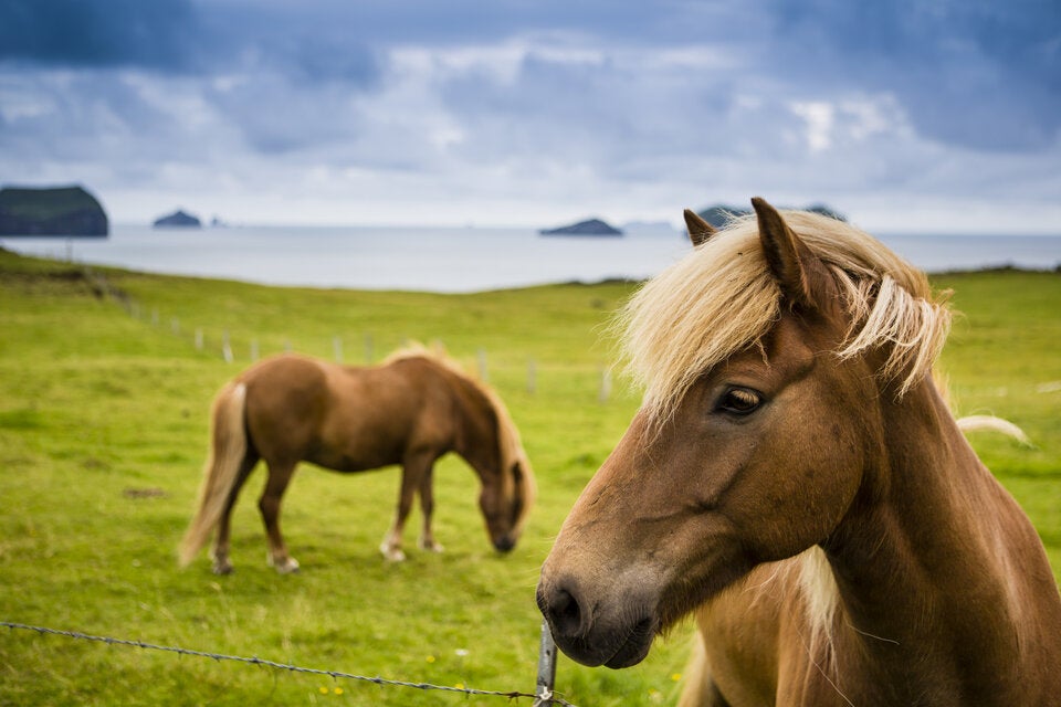 Lonely Planet verrät die besten Reiseziele für Familien für jeden Monat
