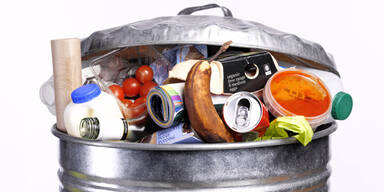 Hausm&uuml;ll M&uuml;lleimer M&uuml;ll