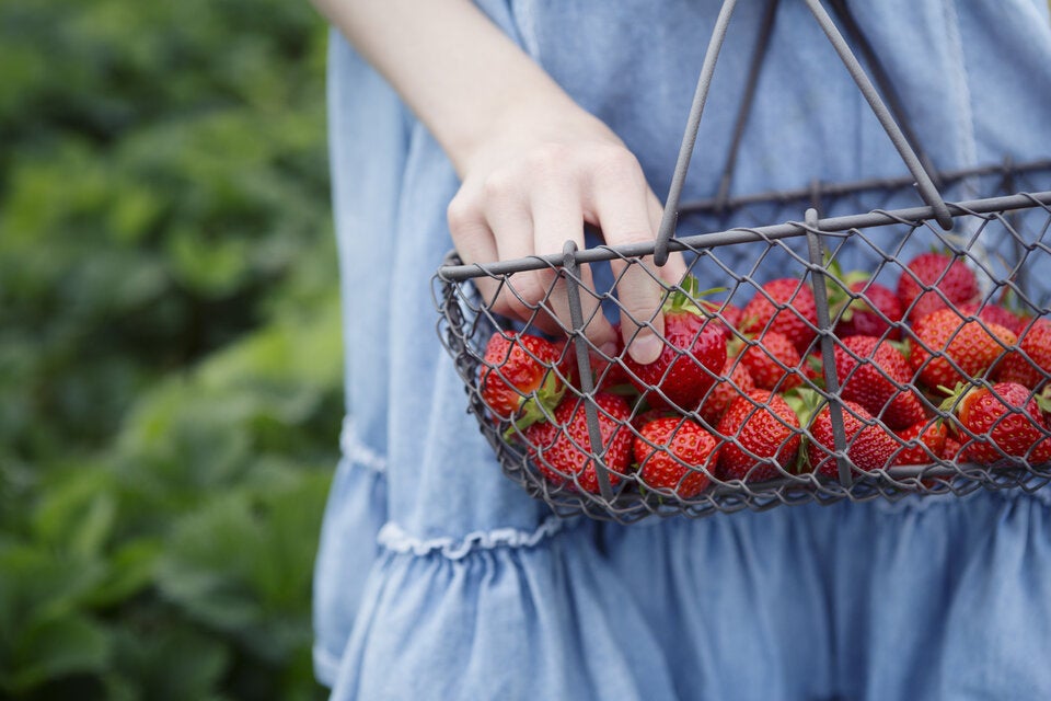 Warum Sie jetzt noch keine Erdbeeren kaufen sollten