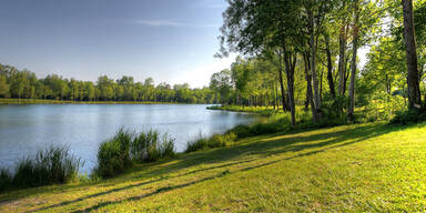 Badeg&auml;ste gebissen &ndash; Polizei erschie&szlig;t Riesenfisch