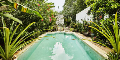 Genial: Mit diesen Tricks halten Sie Insekten vom Pool fern