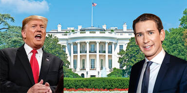 Trump Kurz 