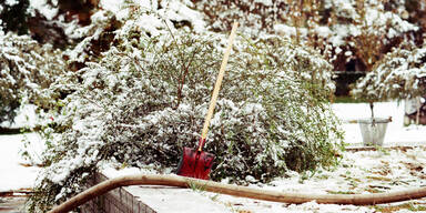 Die wichtigsten Gartenarbeiten, die Sie im J&auml;nner nicht verpassen d&uuml;rfen