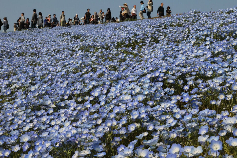 Die 10 meistgegoogelten Reiseerlebnisse der Welt