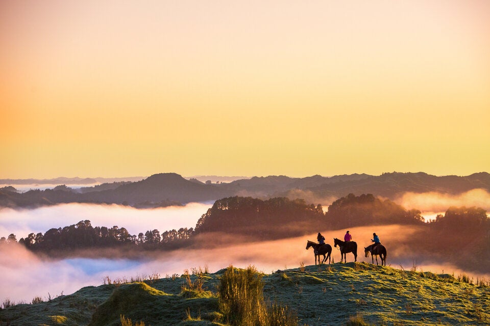Chinesisches Neujahr: So wirkt sich Jahr des Feuer-Pferdes auf Ihr Sternzeichen aus