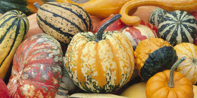 Hokkaido, Butternut & Co.: Diese Kürbisse können Sie mit Schale essen und diese nicht!