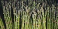 Spargelzeit: Wann startet die Spargelsaison in Österreich?