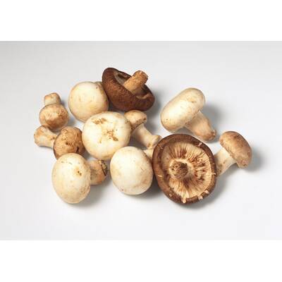 Gesundes im September