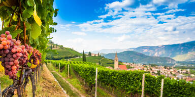 DIE FASZINATION DER S&Uuml;DTIROLER WEINSTRASSE