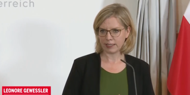 Gewessler ministerrat.PNG