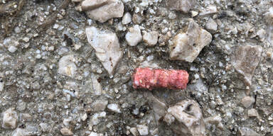 Tierhasser legt Giftk&ouml;der aus: Hund tot