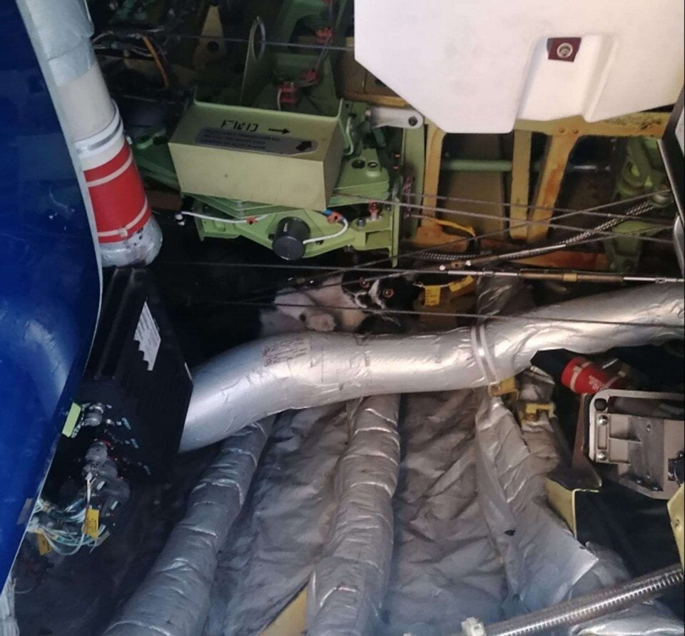 GjdX__YWIAA7J99.jfif