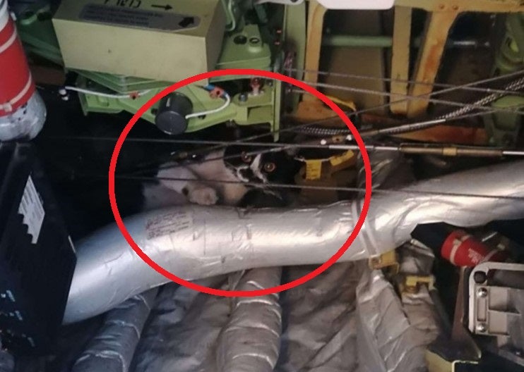 GjdYVrRW8AAnGYn.jfif