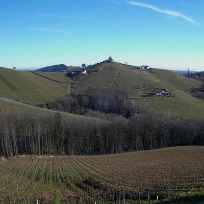 So grün ist derzeit Österreich