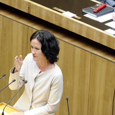  Die Causa Graf, Diplomatenpässe und das Transparenzpaket werden im Hohen Haus diskutiert.