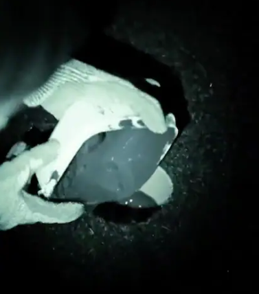 Extinction Rebellion